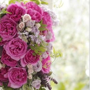 ISO-2022-JP'' $B%T%%22%8%' (B-2 $B#p (B 2.jpg