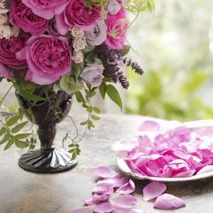 ISO-2022-JP'' $B%T%%22%8%' (B-2 $B#p (B 3.jpg