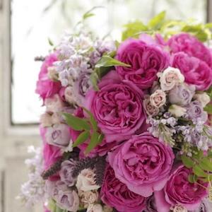 ISO-2022-JP'' $B%T%%22%8%' (B-2 $B#p (B 4.jpg