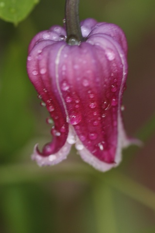 ８月以降のカリキュラムについて