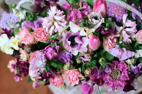 ⭐︎ブログ更新しました⭐︎Instagramも見てね！