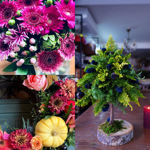 ◆Blog更新しました◆学IWATAYA・10月〜12月申込み受付開始！