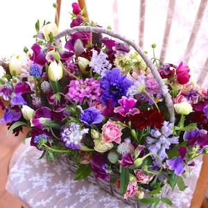 blog更新しました　2017/2/5