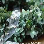 ユーカリのスワッグは定員に達しました。