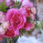 東京レッスン開催のご案内〜玉川高島屋S・Cコミュニティクラブたまがわ