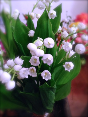 スズランのブーケ満席のクラスご案内