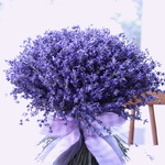 イベントレッスンはこちらでご案内しています。