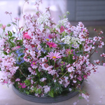 フルールアンドゥトロワ　のカリキュラム