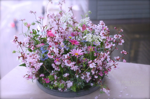 フルールアンドゥトロワ　のカリキュラム