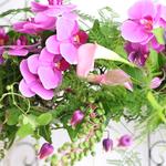 メール受信不具合のご連絡