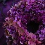 11月＆12月のカリキュラム更新しました。