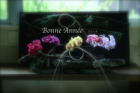 2015年1月〜3月カリキュラムアップしました。