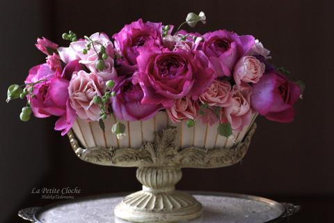 東京・二子玉川「コミュニティクラブたまがわ」レッスンのご案内