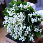 スズランのブーケ（花束）レッスン開催します！