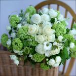 メール受信復旧致しました。