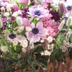  blog更新しました　2017/1/31