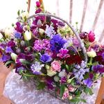 blog更新しました　2017/2/5