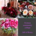 blog更新しました　2017/2/22