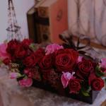 blog更新しました　2017/2/13