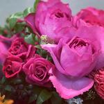 ⭐︎ブログ更新しました⭐︎Rose Party〜ローズパーティ&トライアルレッスン