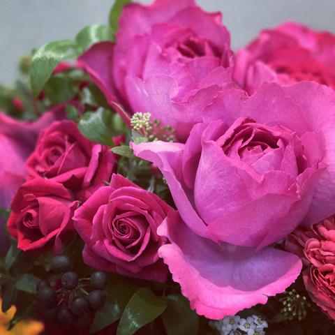 ⭐︎ブログ更新しました⭐︎Rose Party〜ローズパーティ&トライアルレッスン