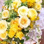  カリキュラム更新しました【３月〜４月】