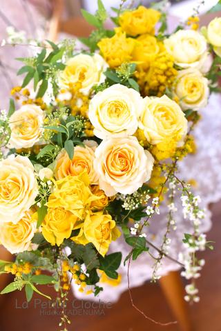  カリキュラム更新しました【３月〜４月】