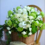 ⭐︎ブログ更新しました☆スノーボールの季節