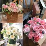  ⭐︎ブログ更新しました☆香りのあるバラに包まれて