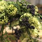 ☆New Lesson☆Oasis Dome オアシスドーム〜アーティフィシャルのアレンジ