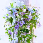  ⭐︎ブログ更新しました☆夏のアレンジメント~La Fontaine