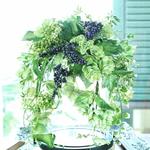 ☆満席☆Oasis Dome オアシスドーム〜アーティフィシャルのアレンジ