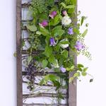 ⭐︎ブログ更新しました☆絵画のようにアレンジを飾る