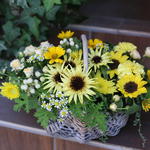 ⭐️ブログ更新しました⭐️夏本番はこれから！