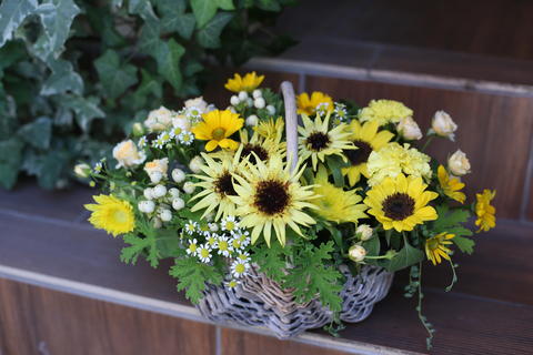 ⭐️ブログ更新しました⭐️夏本番はこれから！