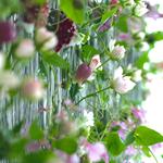  ⭐️ブログ更新しました⭐️絵を飾るように・・・花・・・