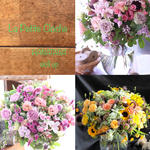 ▽ Work ▽ 花束好き'll up 8月