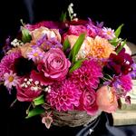 ◎2026 ４月〜６月カリキュラム決定！◎学IWATAYA